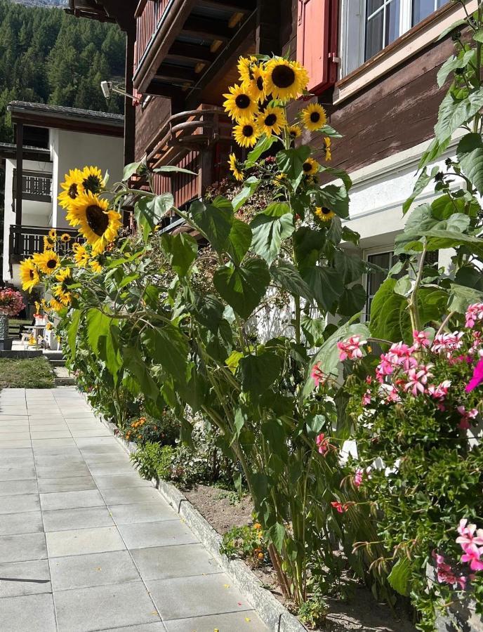 Haus Arnika अपार्टमेंट